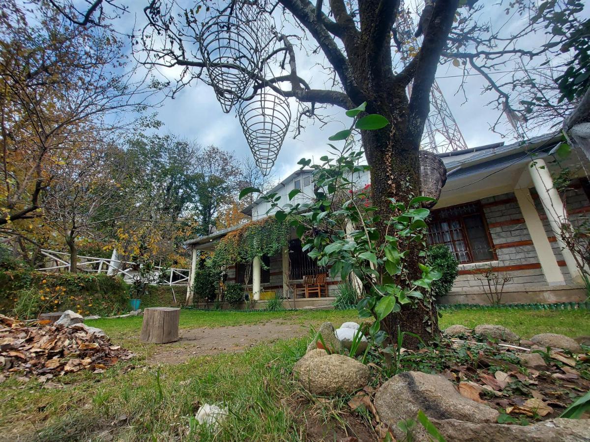 مايالي Mars Monkey Hostel & Cafe المظهر الخارجي الصورة