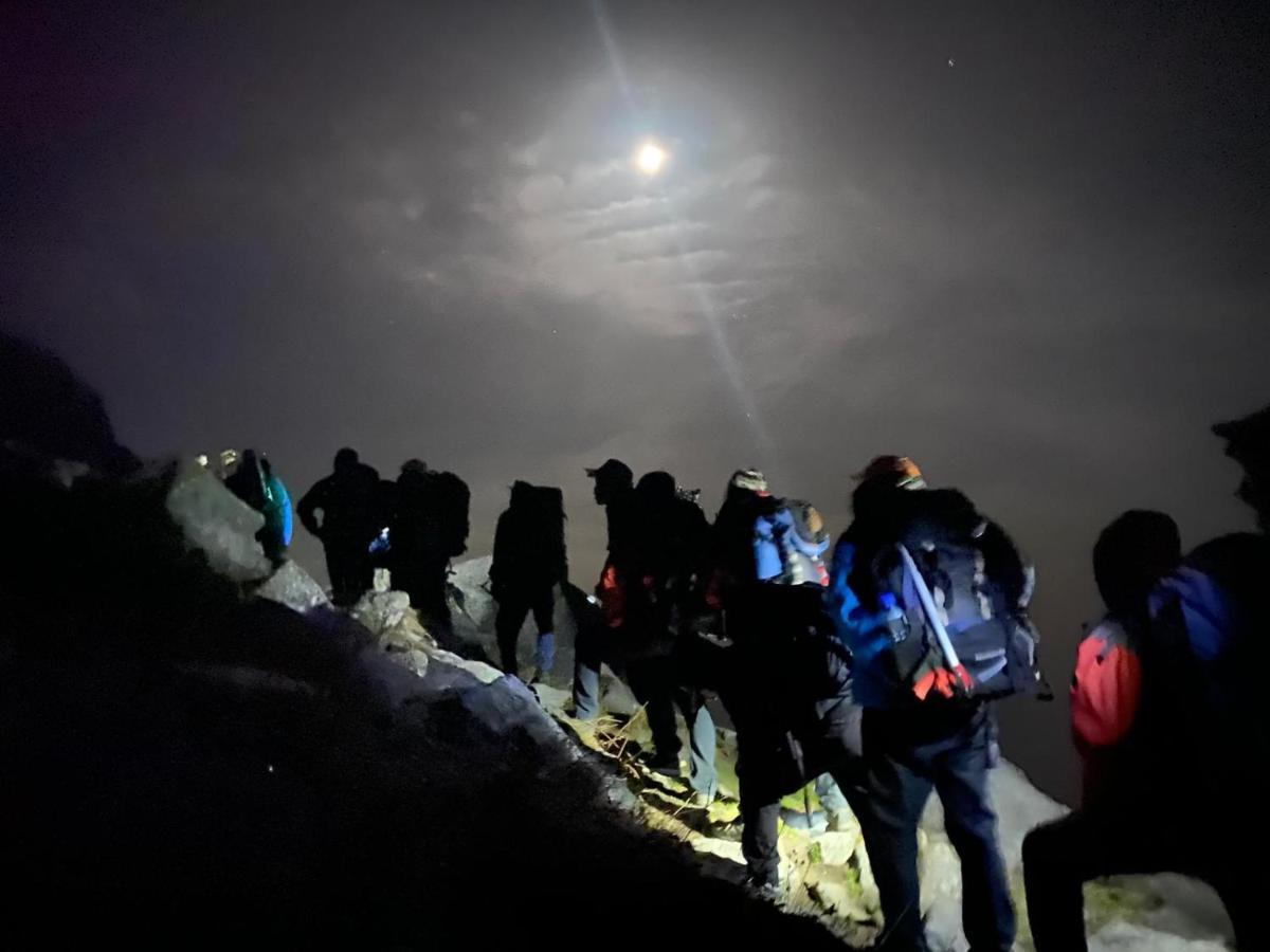 مايالي Mars Monkey Hostel & Cafe المظهر الخارجي الصورة