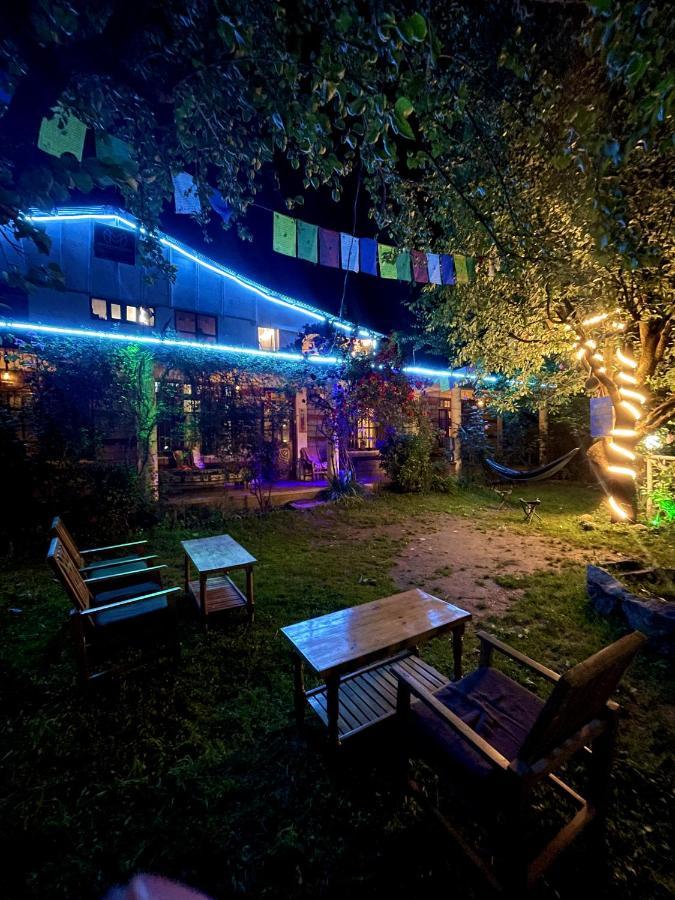 مايالي Mars Monkey Hostel & Cafe المظهر الخارجي الصورة